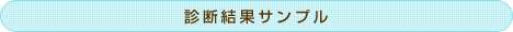 診断結果サンプル