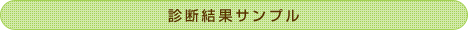 診断結果サンプル