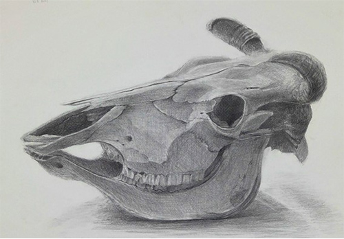 鈴木 枝里香さん01