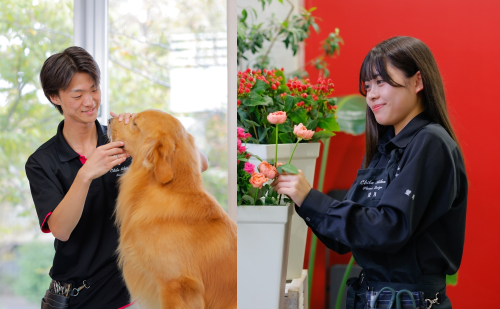 専門学校 ちば愛犬動物フラワー学園