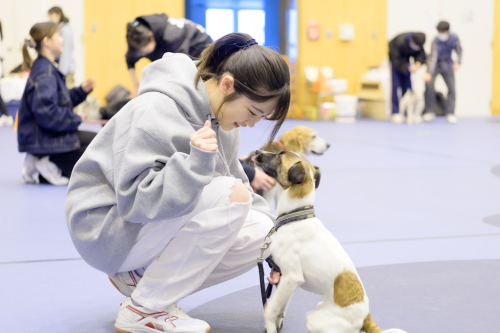 ドッグスペシャリストコース