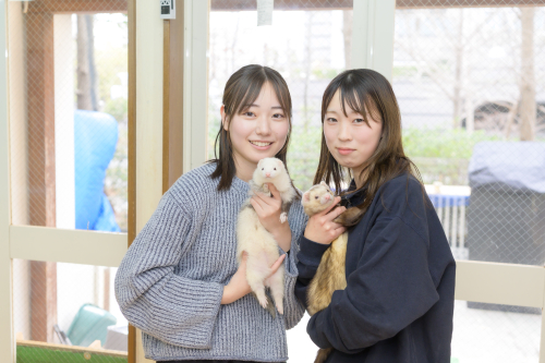 スモールアニマルコース