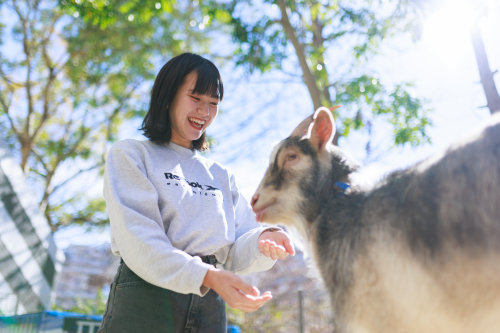 ワイルドアニマルコース