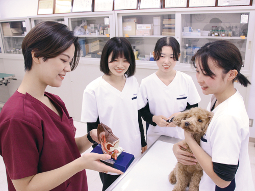 愛玩動物看護学科