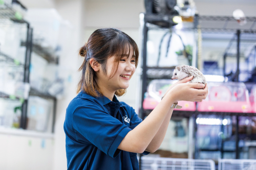 飼育員さんのお仕事体験