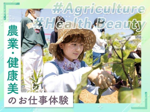 農業・健康美のお仕事体験