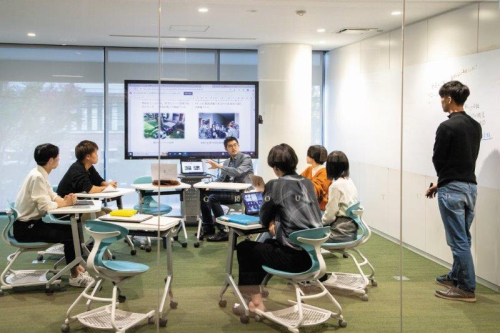 国際関係法学科