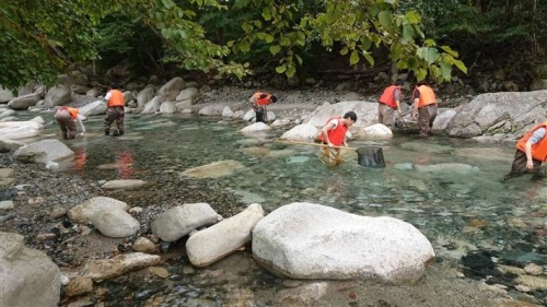 環境サステナビリティ学科 生物多様性回復プログラム