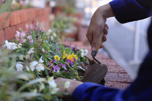 ガーデンデザイン学科 （2年制）