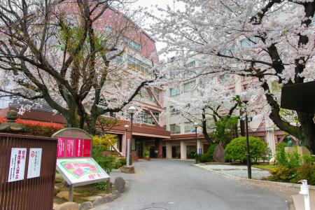 日本栄養大学短期大学部(2026年4月より女子栄養大学短期大学部から名称