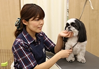 常磐大学高等学校出身 永山 麗雅さん