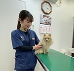 土浦湖北高等学校出身 赤松　梨恵さん