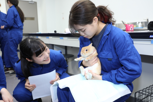 動物看護学科