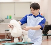 トリマー師範科