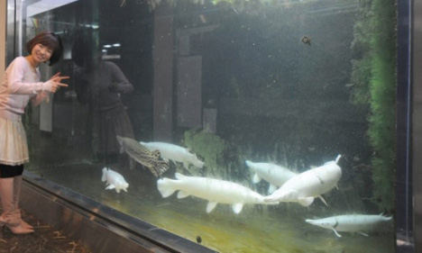 生態系保全環境マネジメントシステム