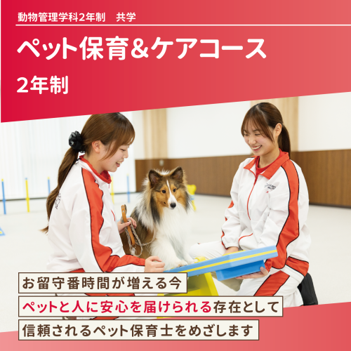 ペット保育＆ケアコース（2年制）