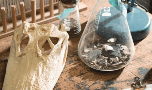 アニマルサイエンス学科