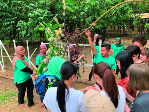 国際関係学科（国際関係・政治コース、国際関係・経済コース、国際関係・共生コース）