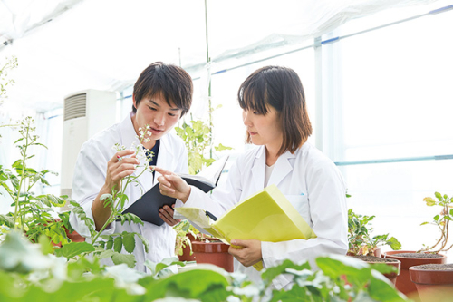 産業生命科学科（医療と健康コース、食と農コース、環境と社会コース）