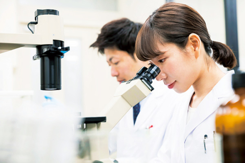 先端生命科学科（生命医科学コース、食料資源学コース、環境・生態学コース）