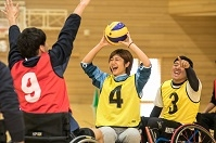 障がい者スポーツ領域
