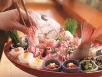 和食・日本料理専攻※2025年4月より設置予定