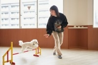 ドッグトレーナー科