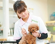 ペットトリマー体験