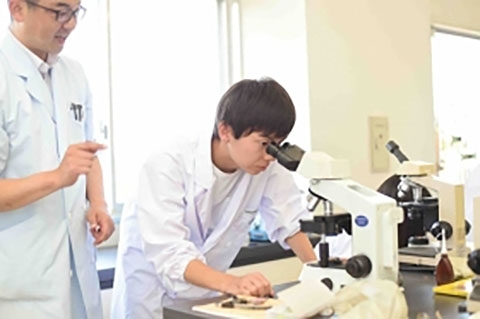 武蔵丘短期大学（学校TOP）｜さんぽう進学ネット大学・短期大学・専門学校の進路情報一覧