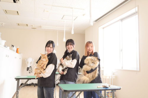 ペット大学科（４年制）