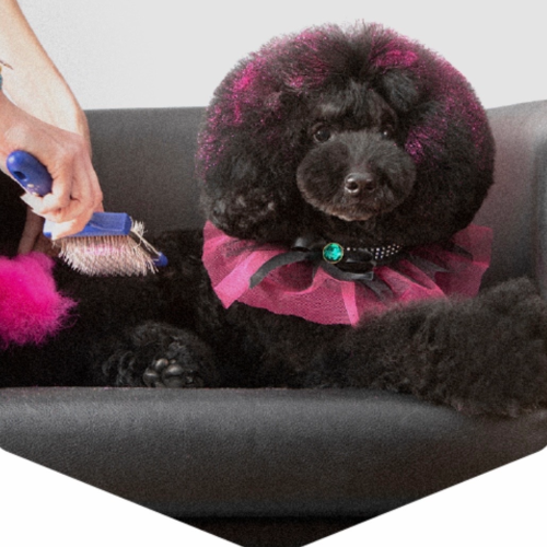 ４月26日（日）デザインカットにチャレンジ