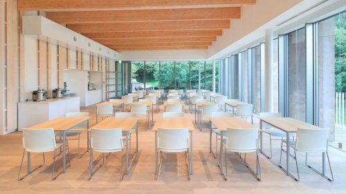 自然の光が差し込むカフェテリア