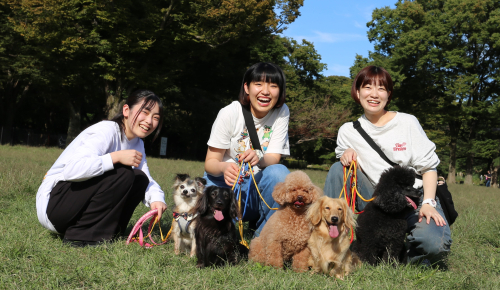 トリマーコース/ドッグトレーナーコース