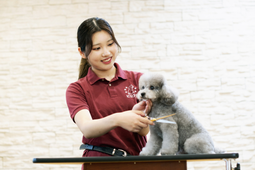 トリマーコース