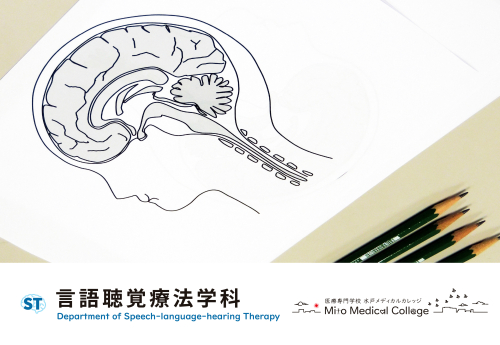 言語聴覚療法学科２