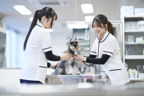 仙台総合ペット&フラワー専門学校(仙台総合ペット専門学校より2027年4月校名変更予定)