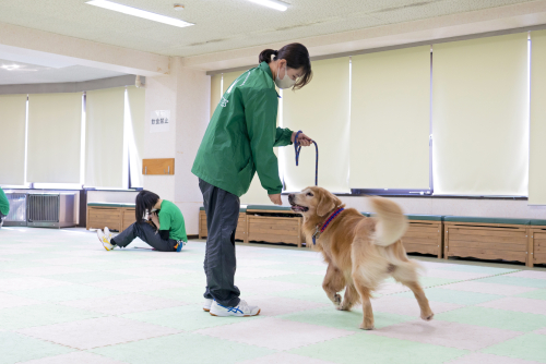 ドッグトレーナー領域