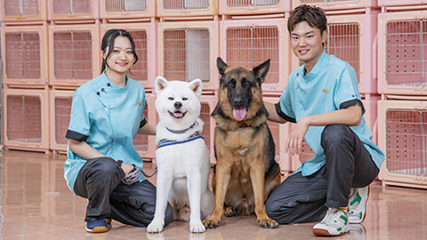 YIC京都ペット総合専門学校