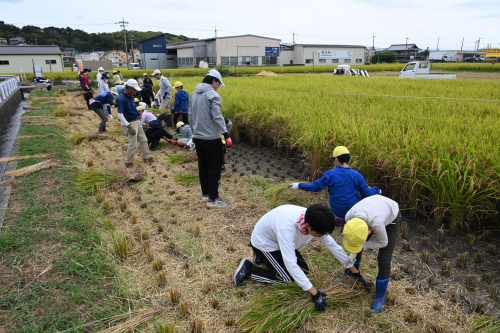 食料農業システム学科