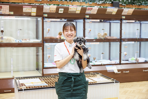 美容・スモールペット学科