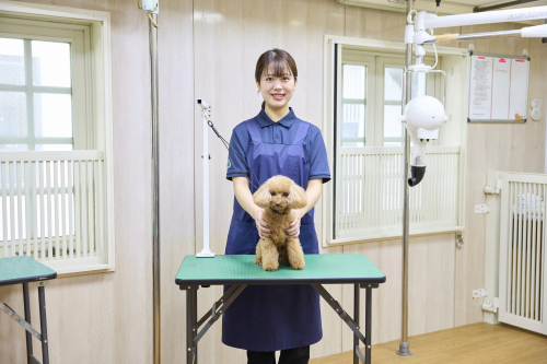 美容・デザイン学科