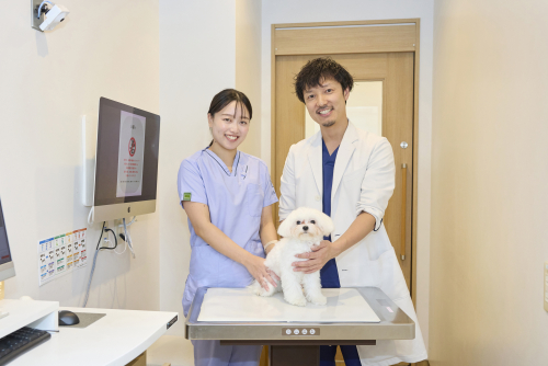 愛玩動物看護学科