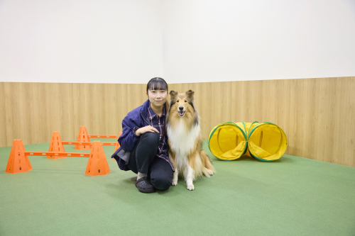 ドッグスペシャリスト学科