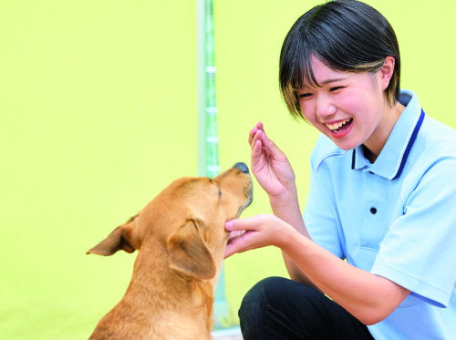 ドッグスペシャリスト学科