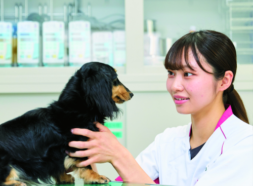 国際動物専門学校