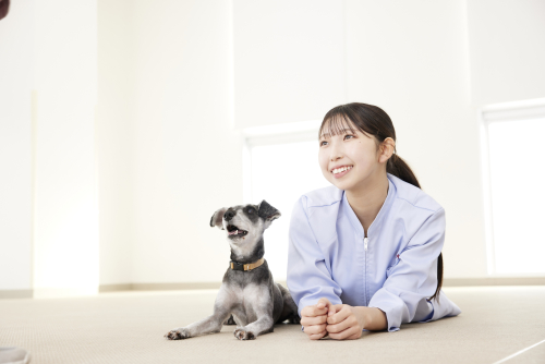 大阪ペピイ動物看護専門学校