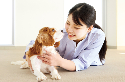 大阪ペピイ動物看護専門学校
