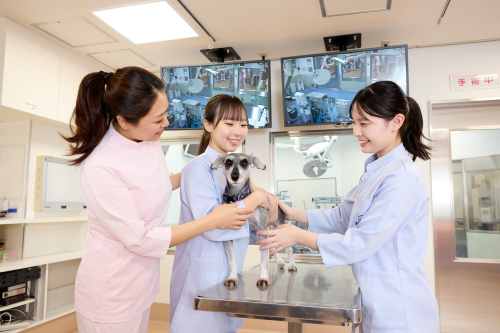動物看護総合学科（3年制・120名・男女）