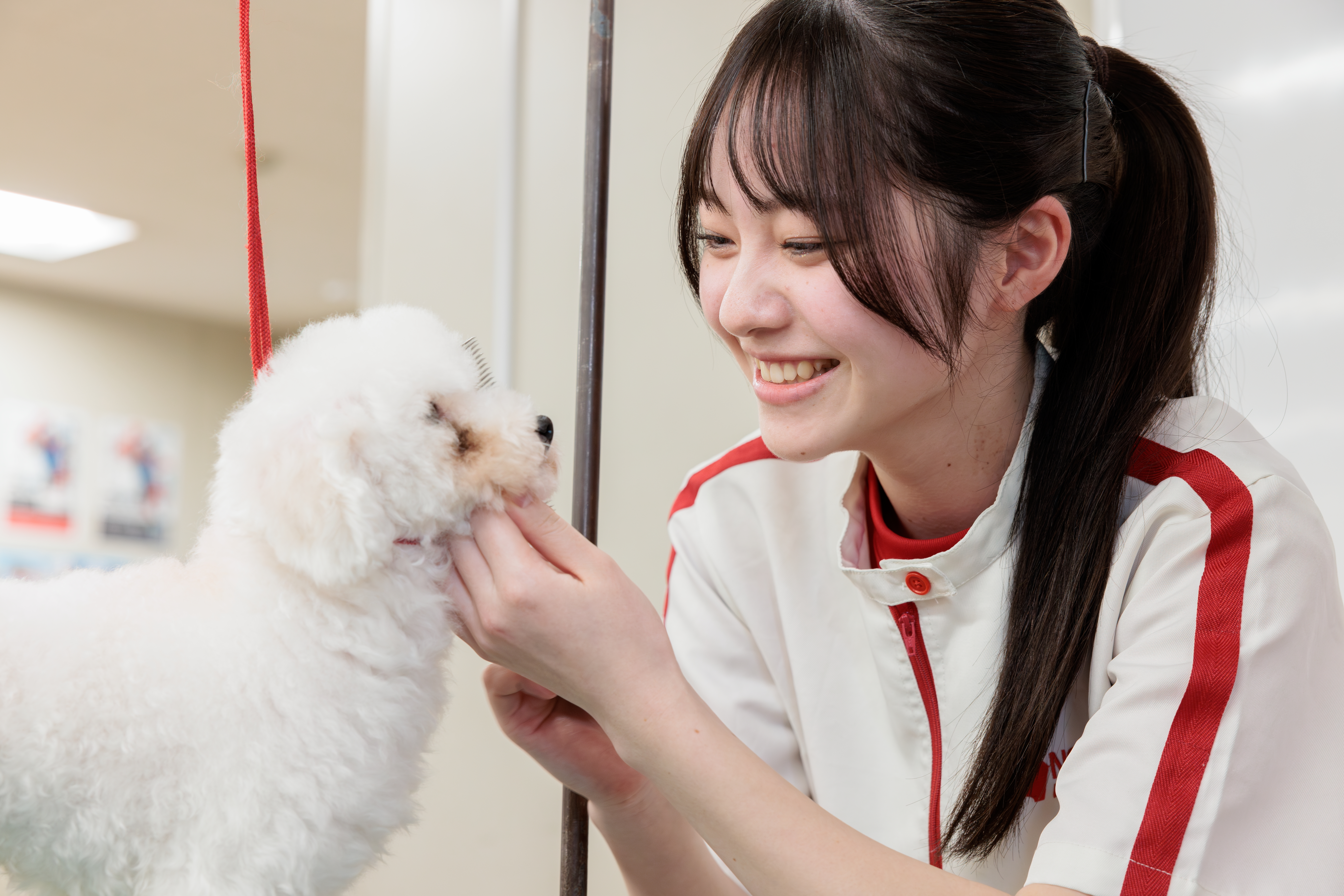 取得可能な関連資格は・・・