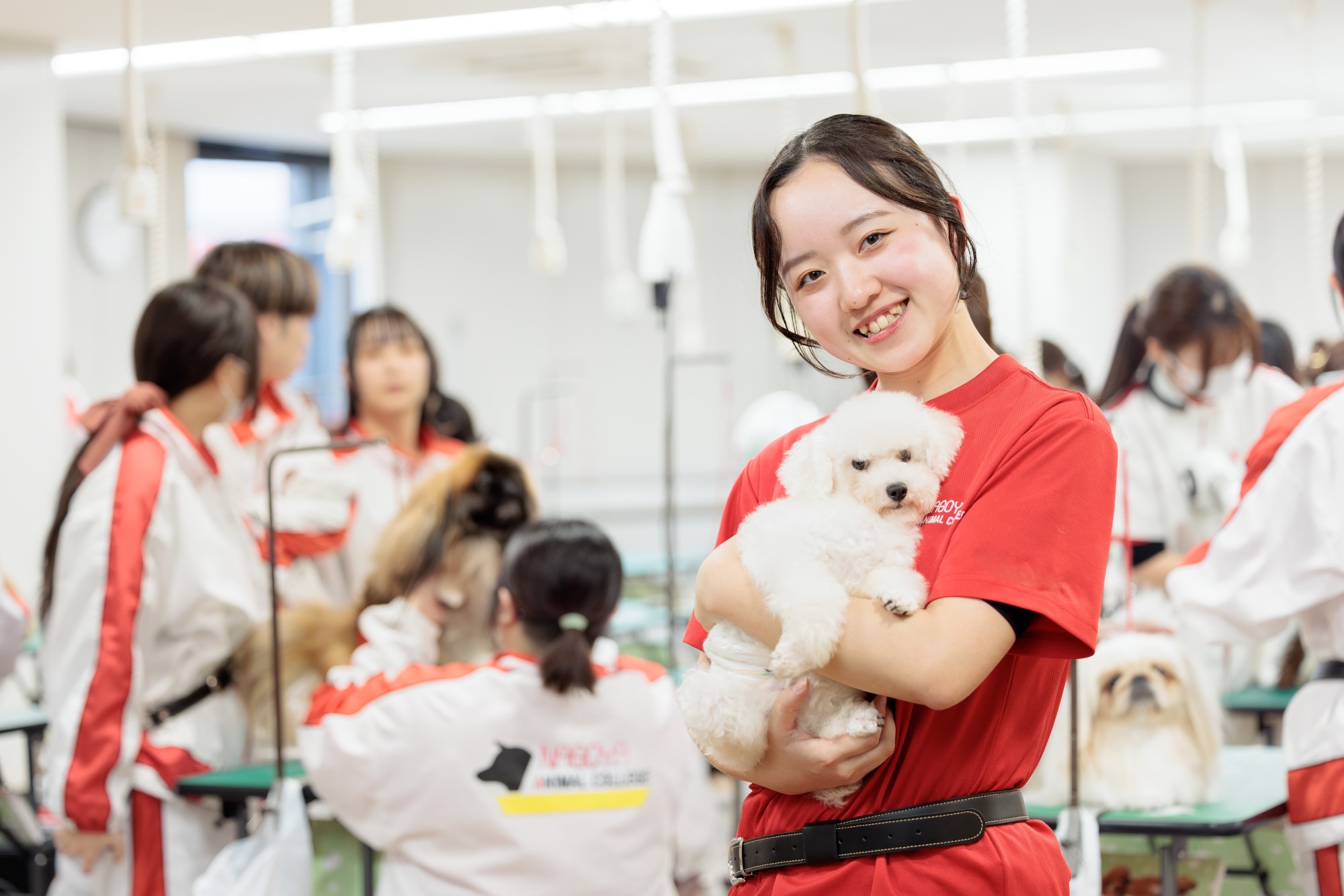 専門学校日本動物21